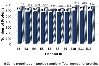 Non-targeted proteomic analysis of Asian elephant (Elephas maximus) seminal plasma using an in-solution digestion technique and liquid chromatography tandem-mass spectrometry